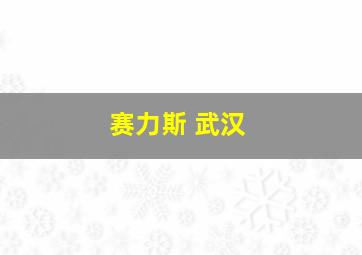 赛力斯 武汉